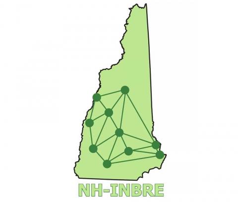 NH INBRE logo